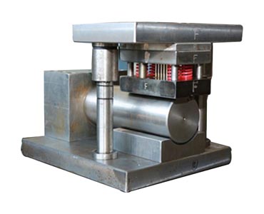 Best alabama plants for home landscaping